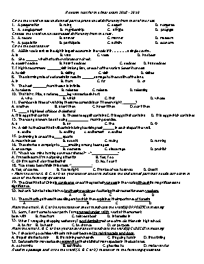 Đề kiểm tra học kì II môn Tiếng Anh Lớp 8 - Năm học 2018-2019